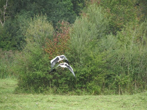 Veteranenwanderung 09 (33).JPG