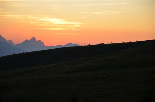 2019.09.31. MR Turnfahrt Sargans - Gonzen (59).JPG