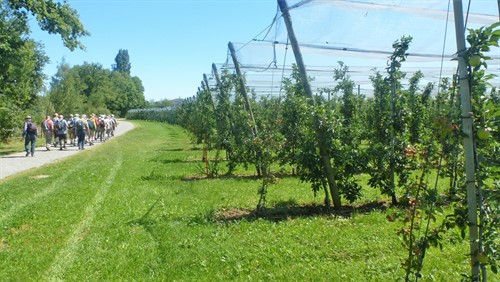 Tagesausflug an den Bodensee