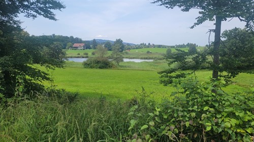 20250806_140716.jpg